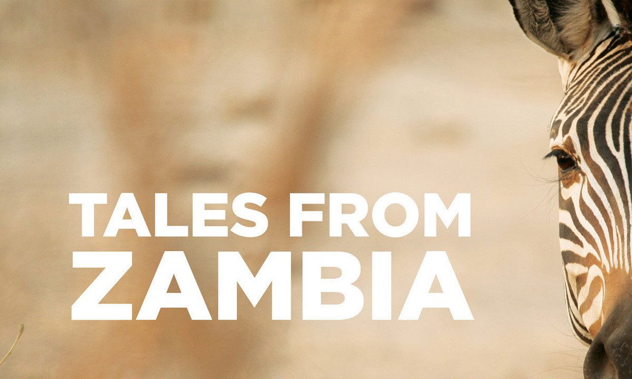 header image for Tales from Zambia