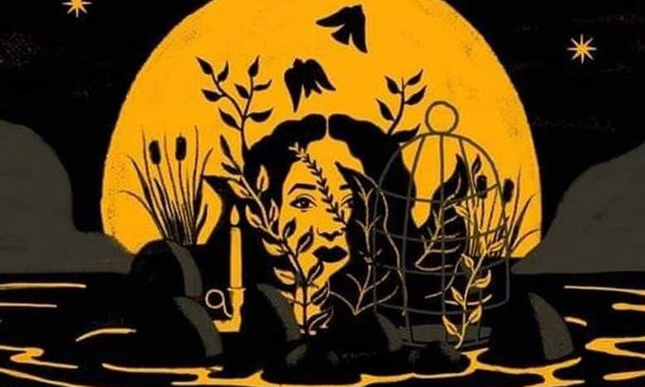 El rodeo Where to Watch and Stream Online Entertainment.ie