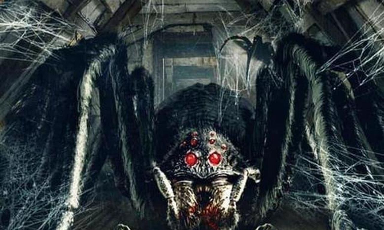 header image for Spider in the Attic