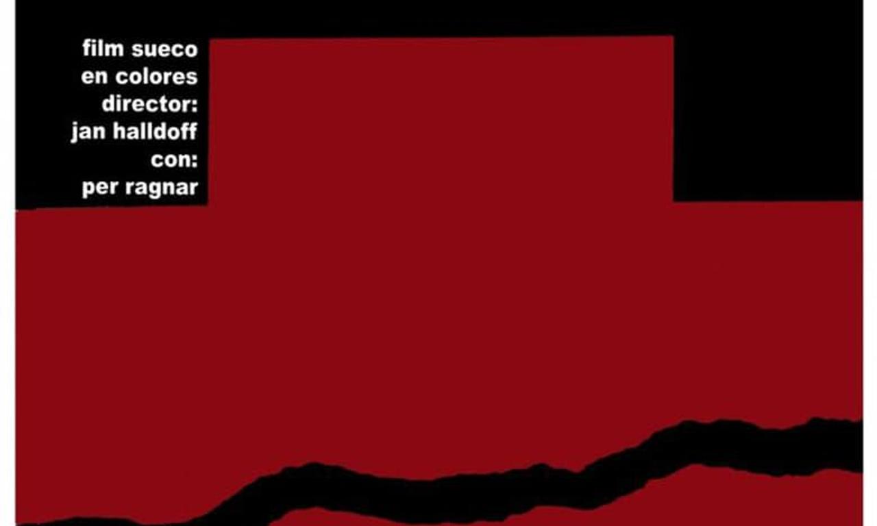 header image for The Corridor