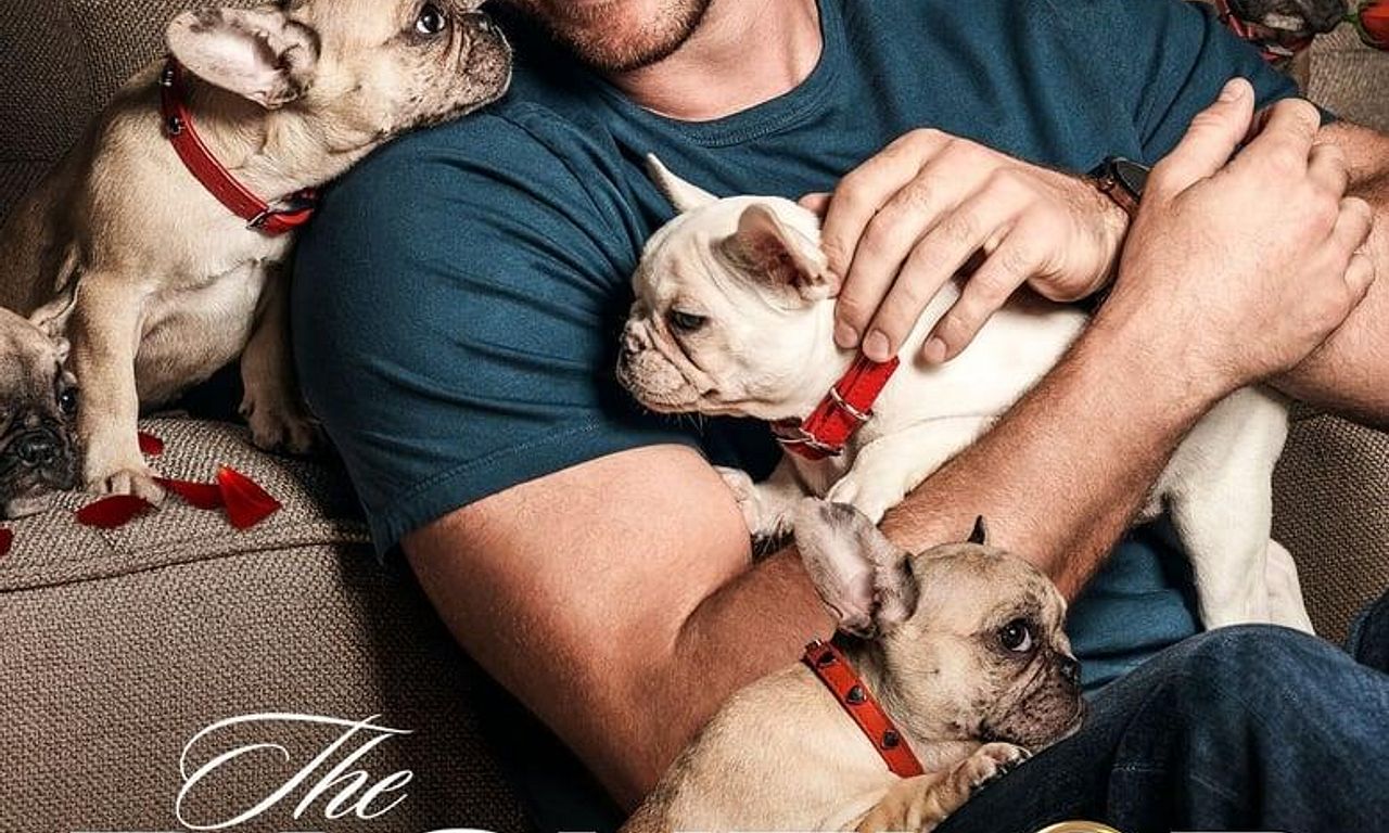 header image for The Bachelor