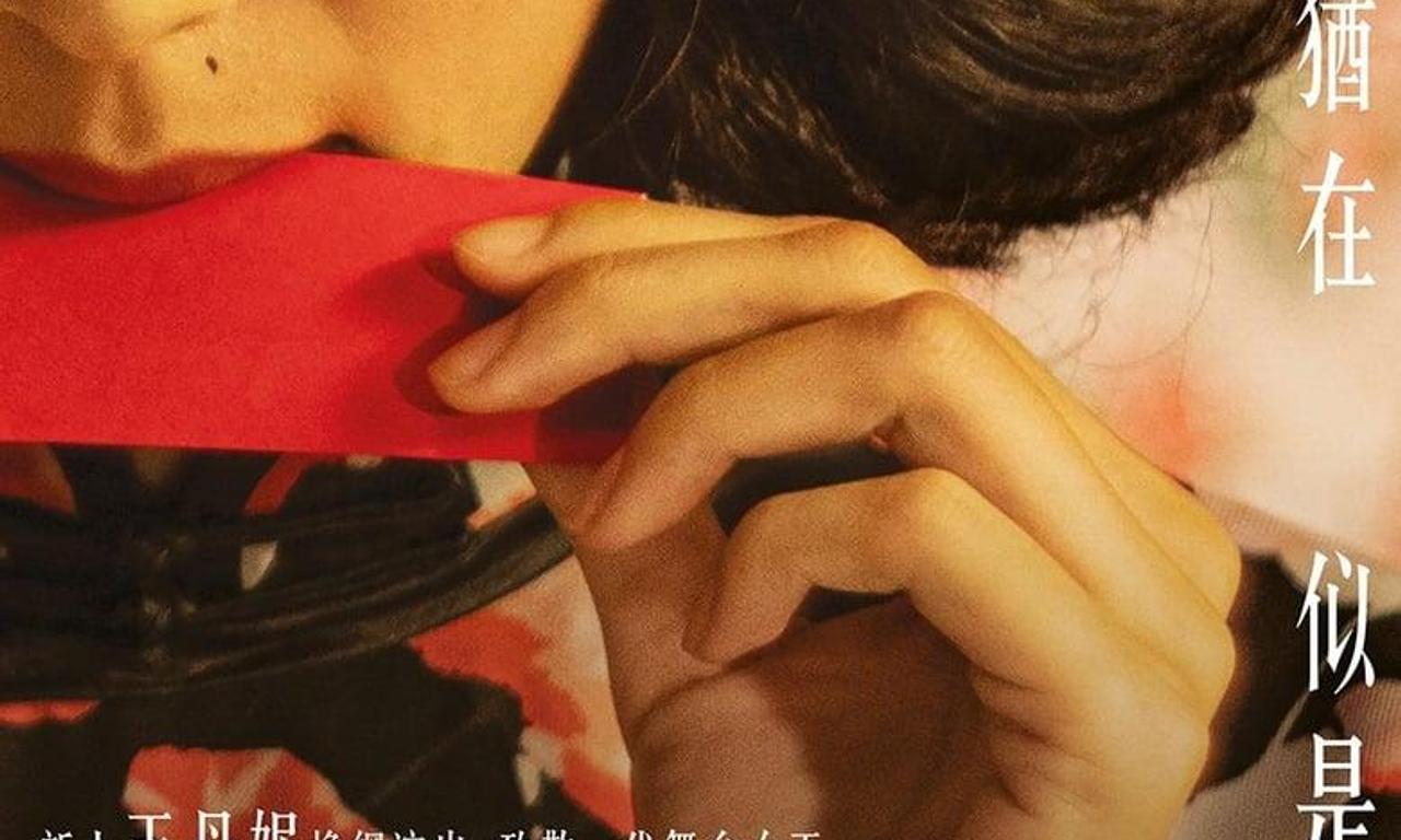 header image for Anita