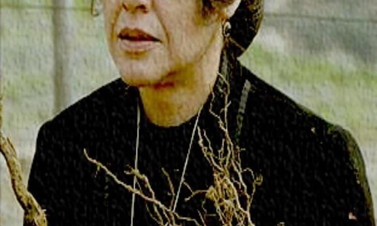 header image for A Ferreirinha