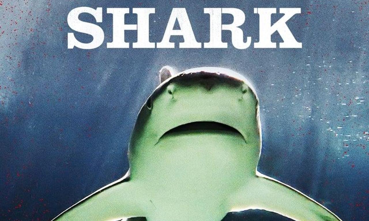 header image for Raging Bull Shark