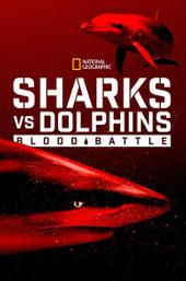 Sharks vs. Dolphins: Blood Battle