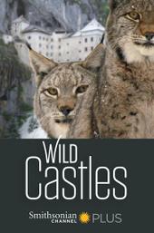 Wild Castles