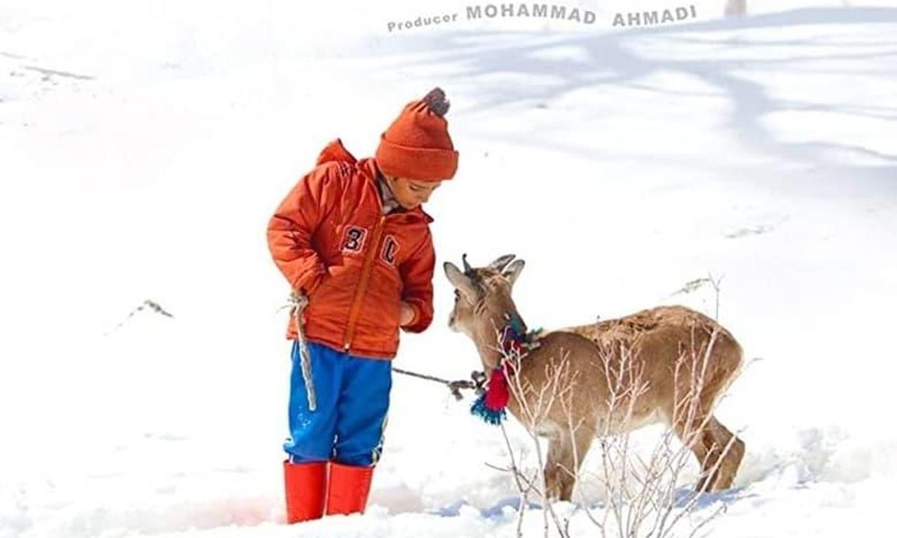 header image for The Skier