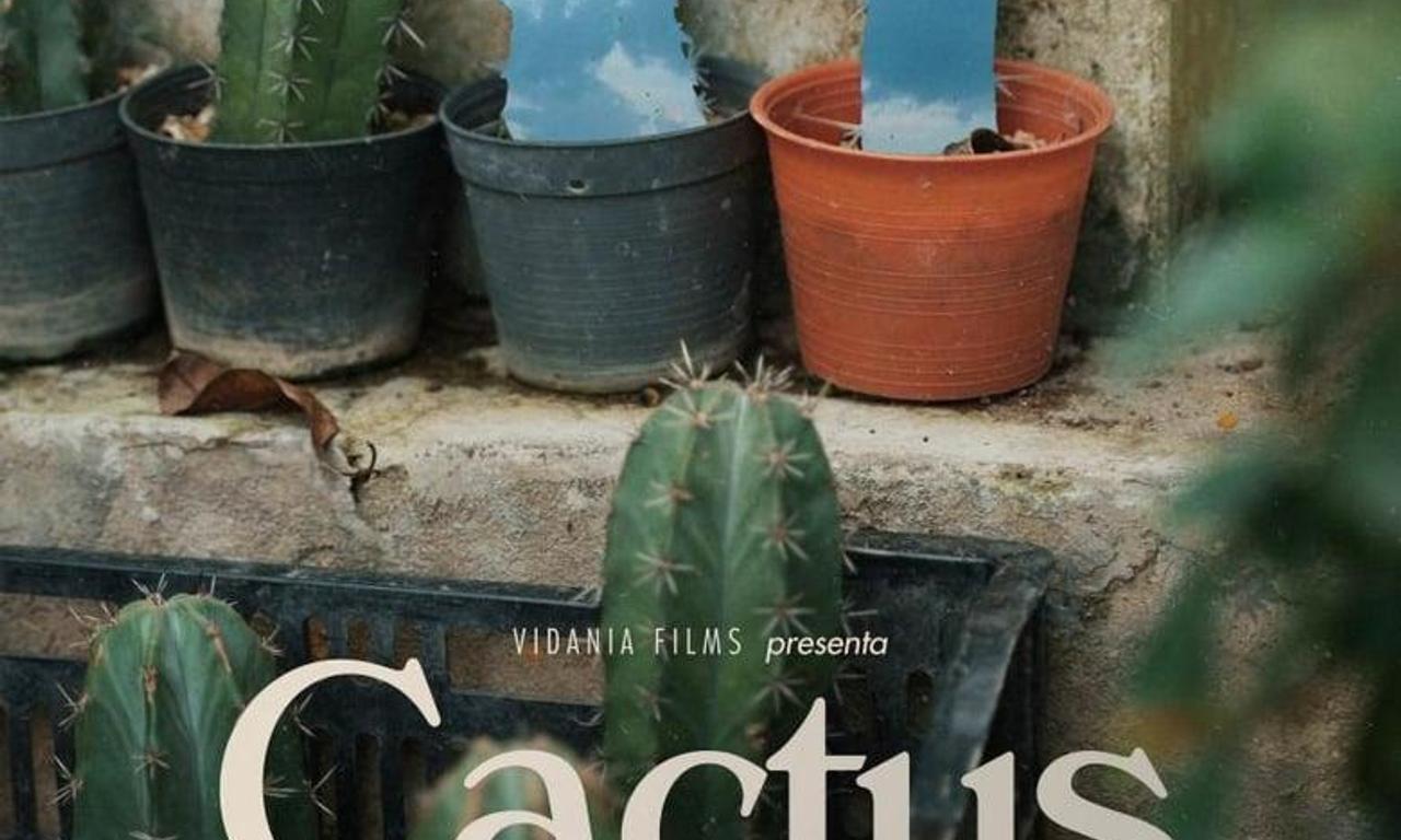 header image for Cactus