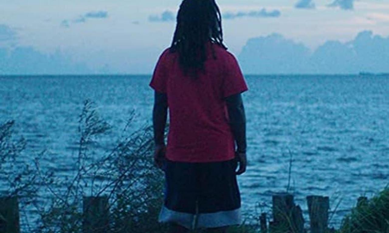 header image for Descendant