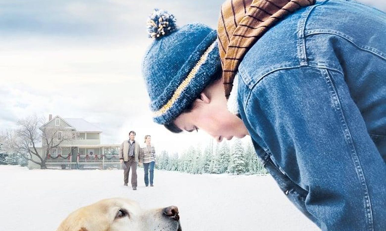 header image for A Dog Named Christmas