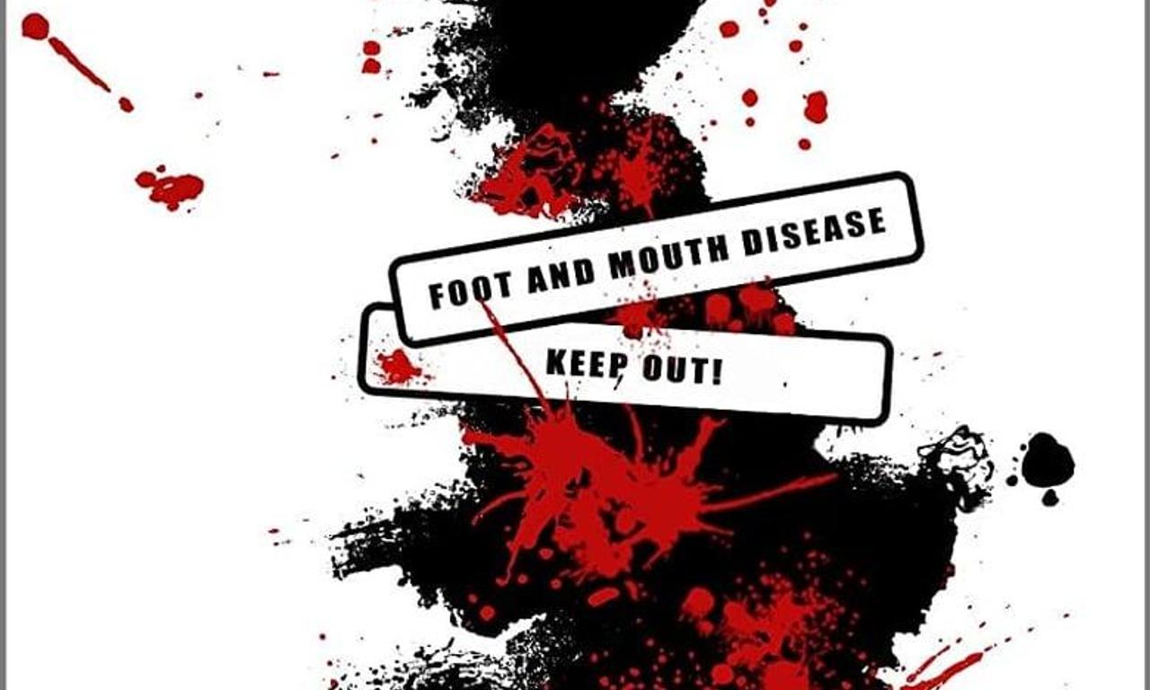 header image for The Silence of Green