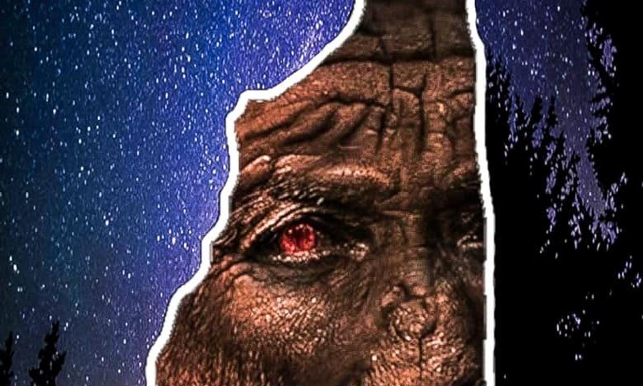 header image for Bigfoot Witness: The Jason Morse Story