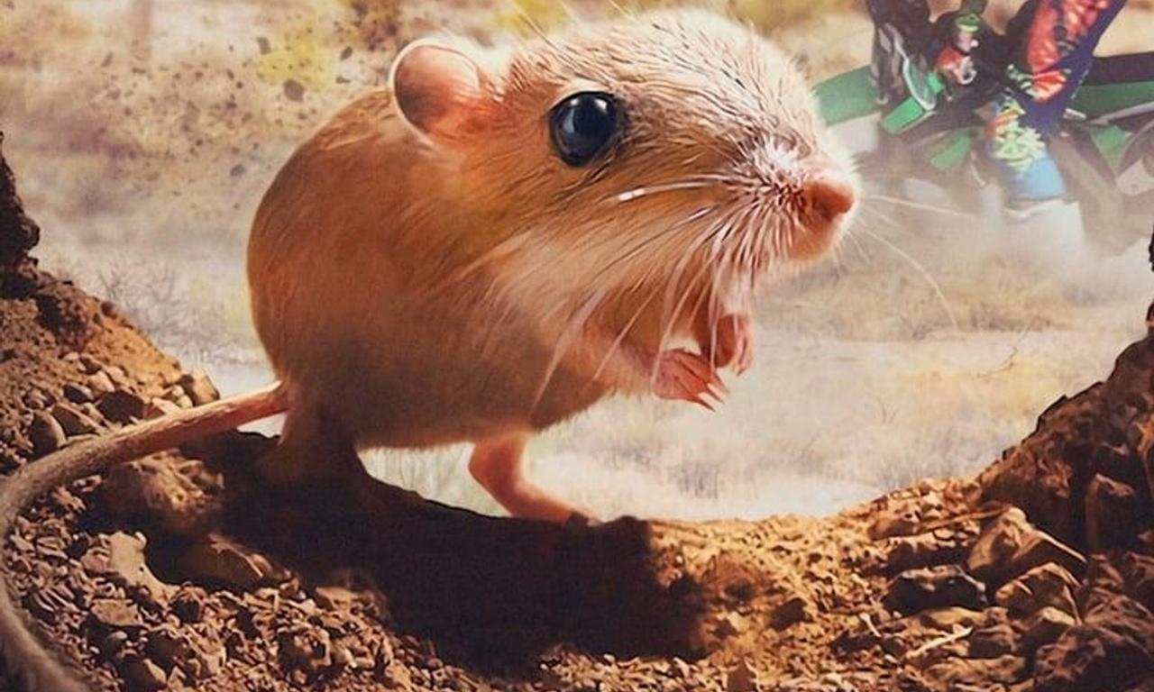 header image for Tiny Creatures