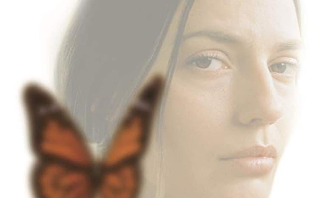 header image for Donna: Stronger Than Pretty