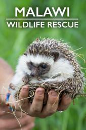 Malawi Wildlife Rescue