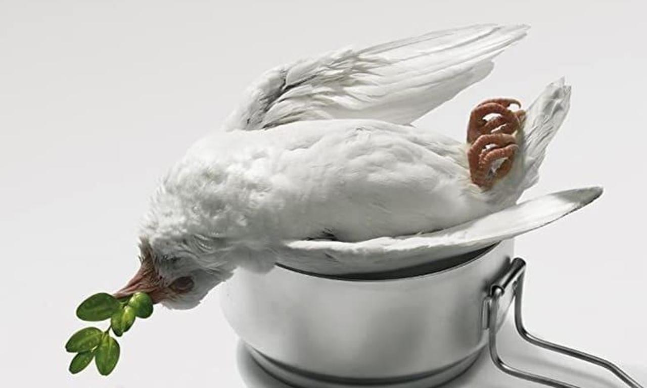 header image for Cooking History