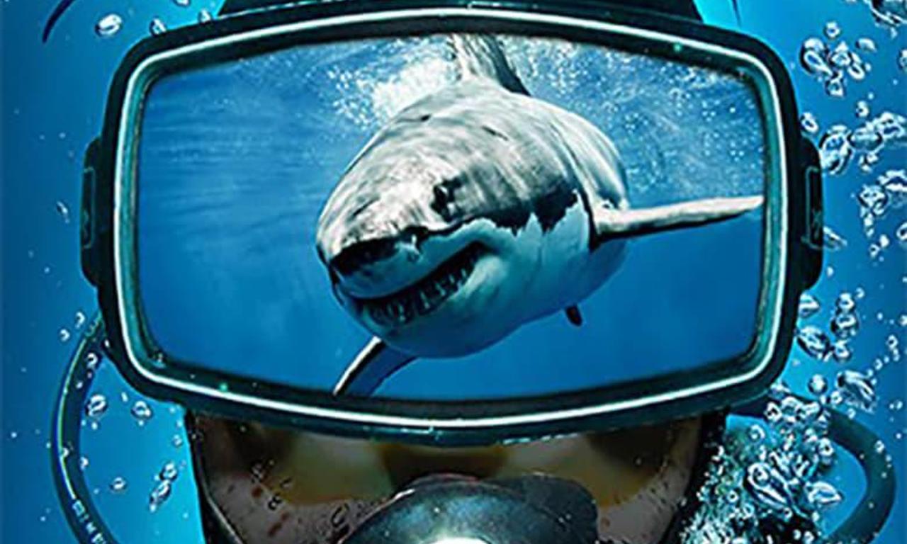 header image for Shark Divers