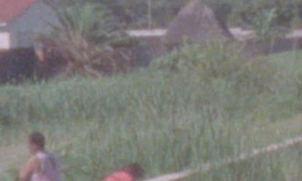 header image for Scenes from a Transient Home