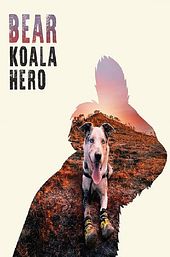 Bear: Koala Hero