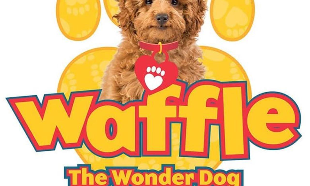 header image for Waffle the Wonder Dog