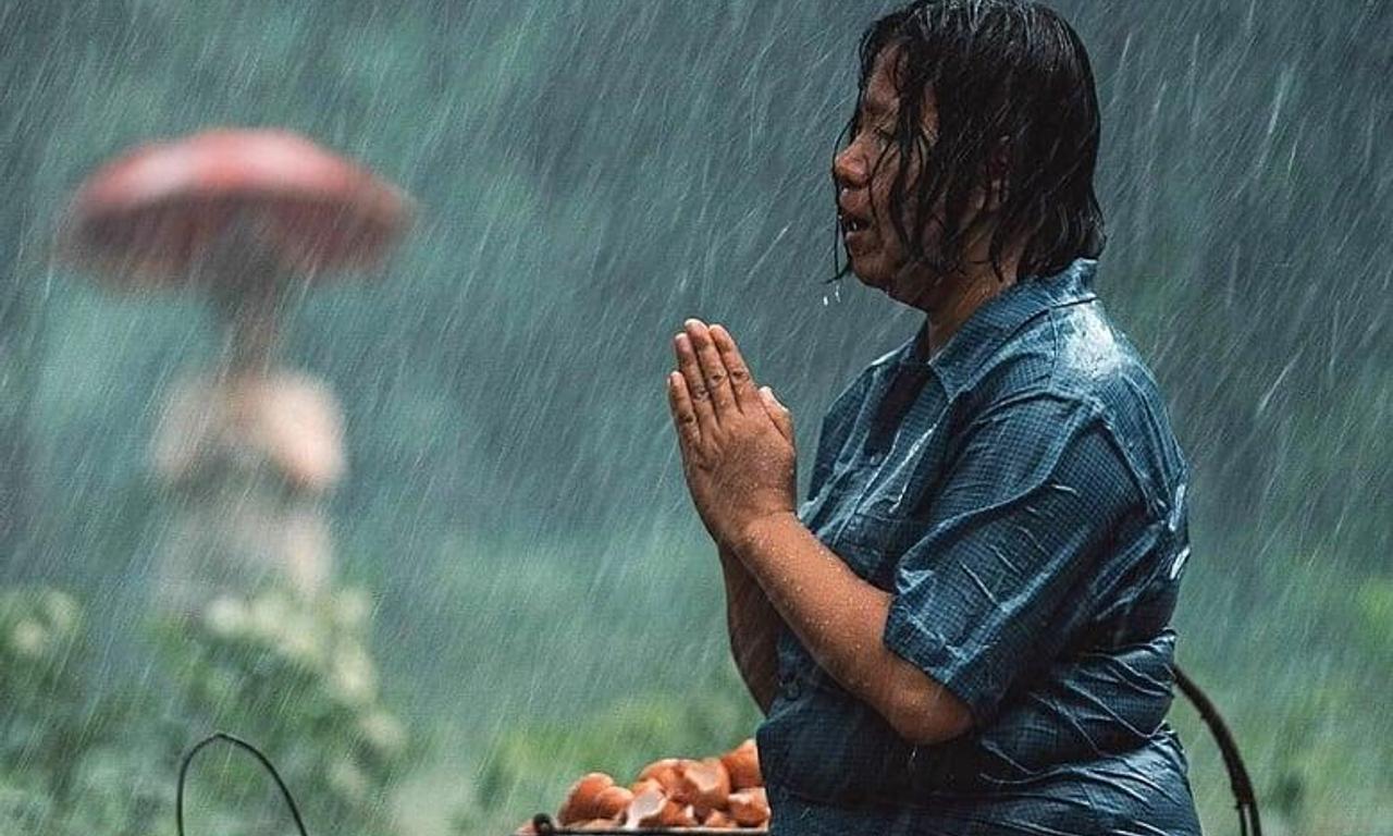 header image for The Medium