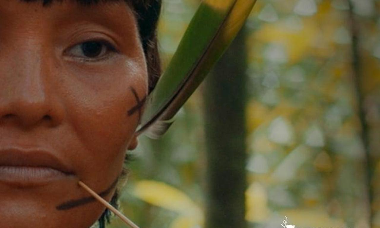 header image for The Last Forest