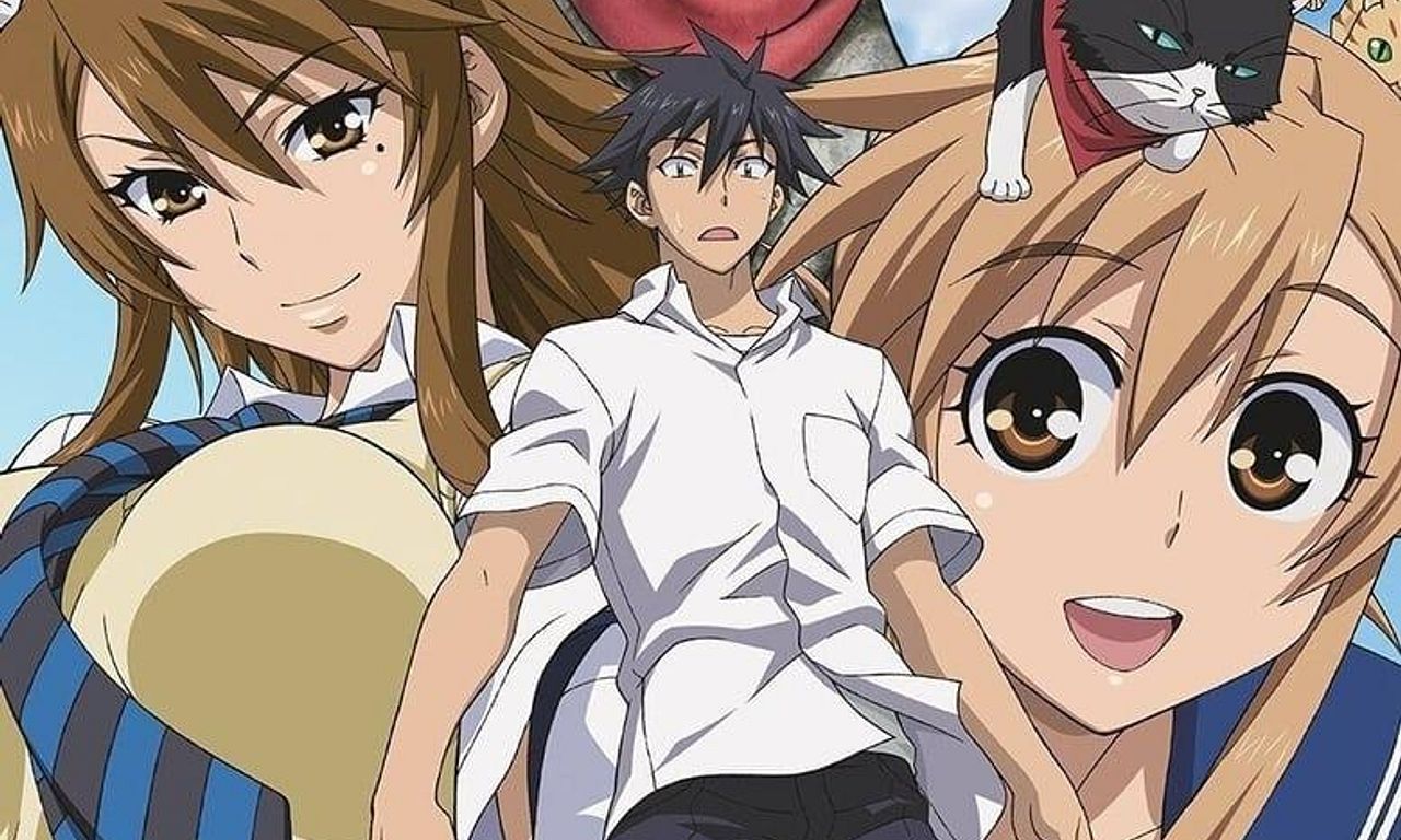 header image for Nyan Koi!