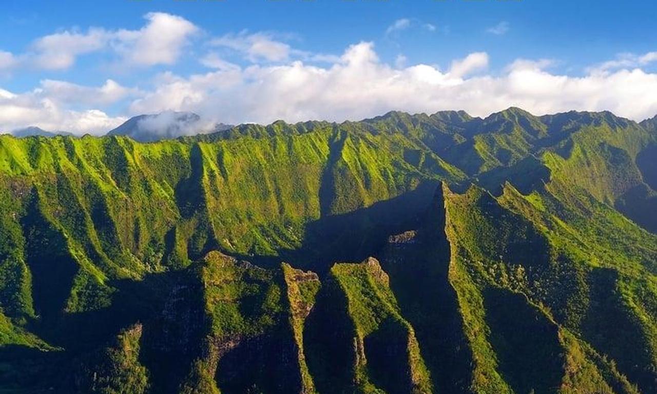 header image for Wild Hawaii