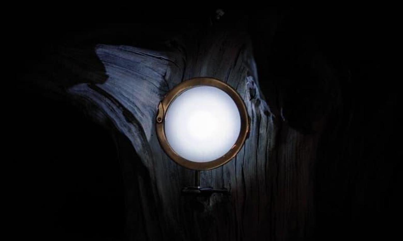 header image for Alive: Who Is There?