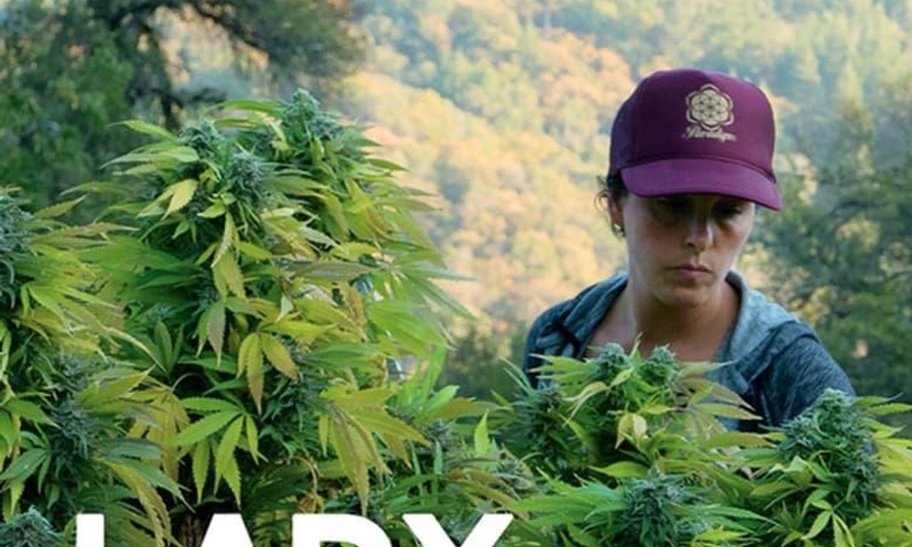 header image for Lady Buds