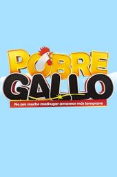 Pobre Gallo