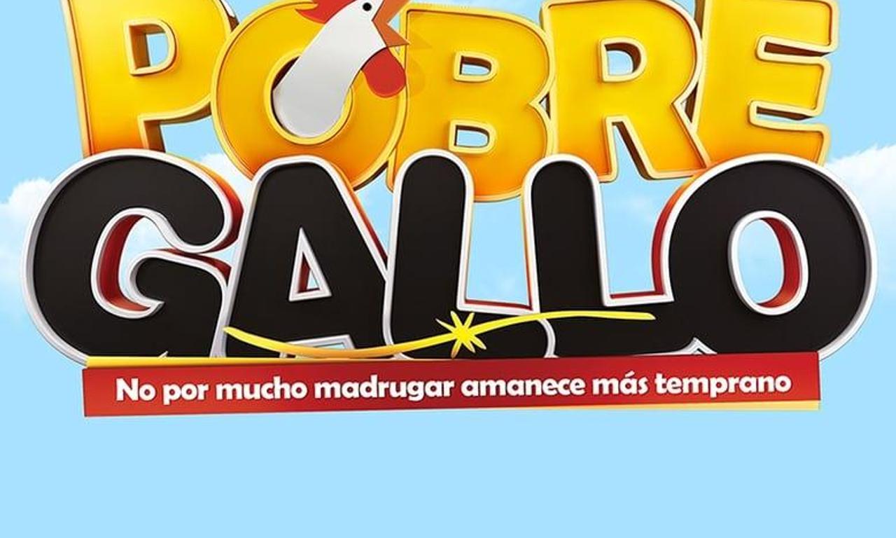 header image for Pobre Gallo