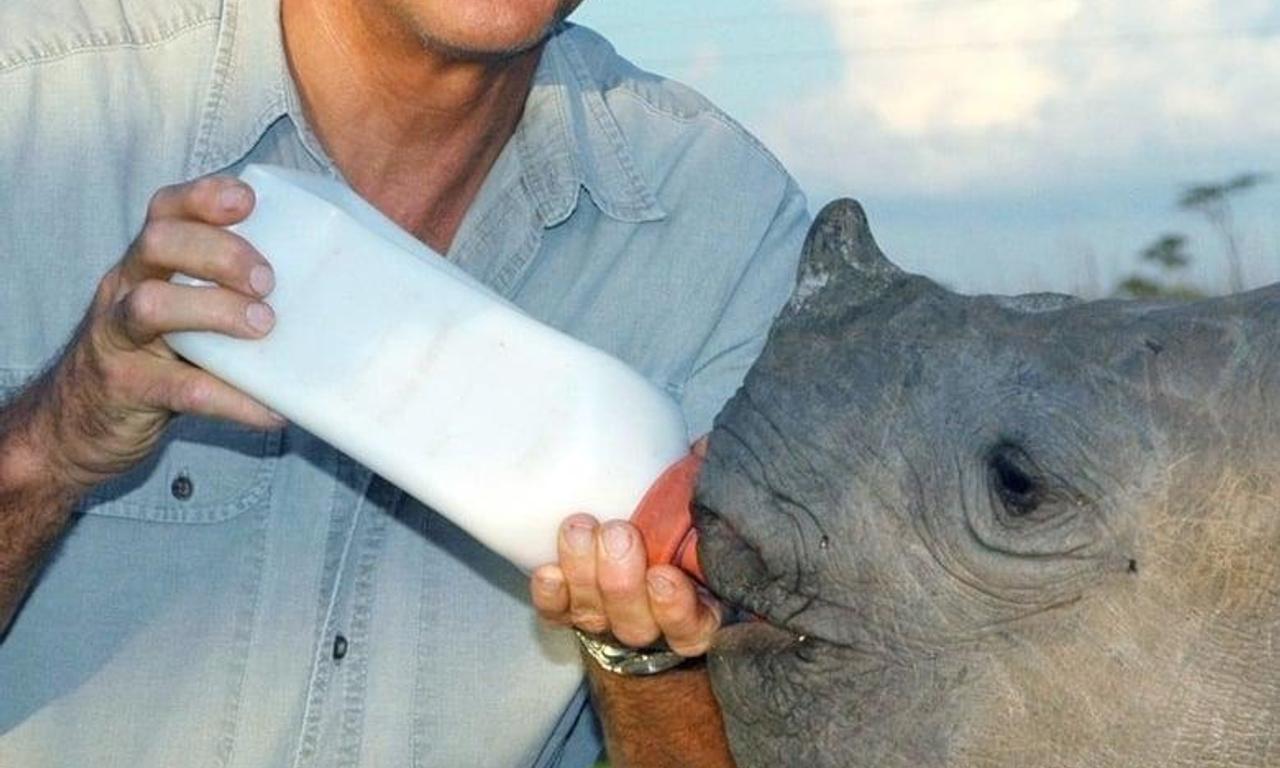 header image for Jack Hanna's Into the Wild