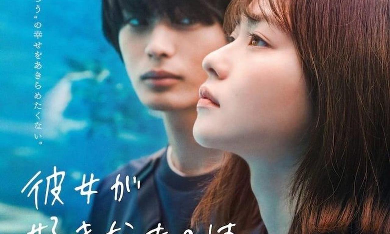 header image for What She Likes