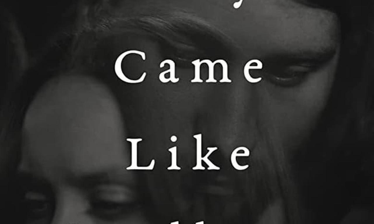 header image for They Came Like Swallows