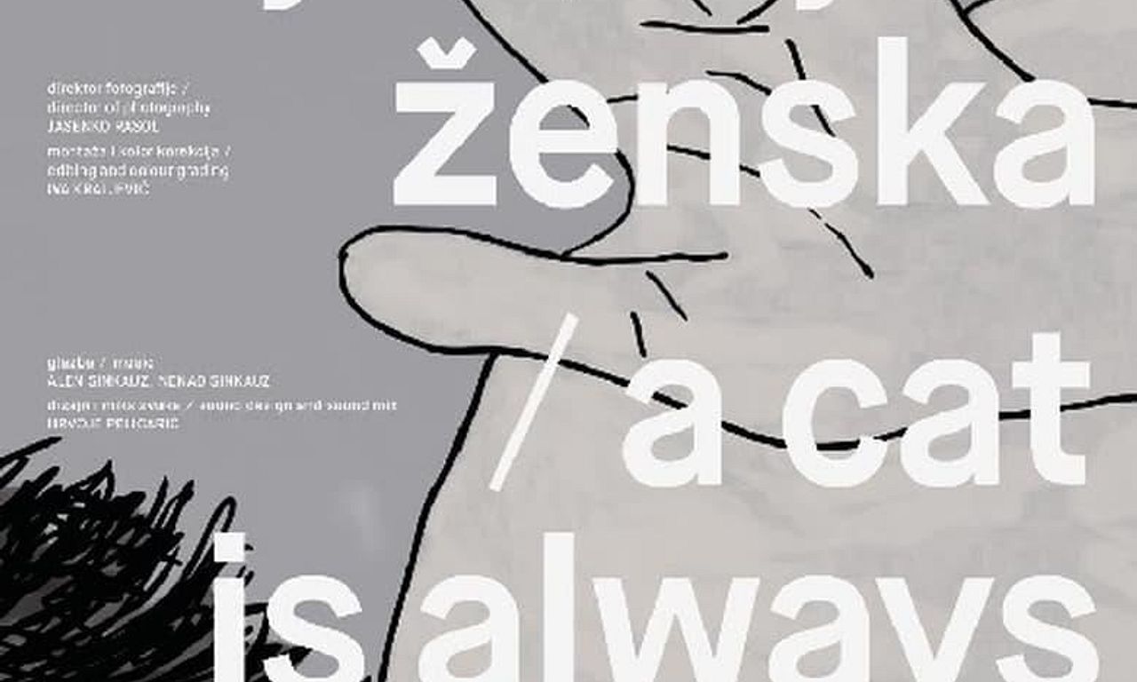 header image for A Cat Is Always Female