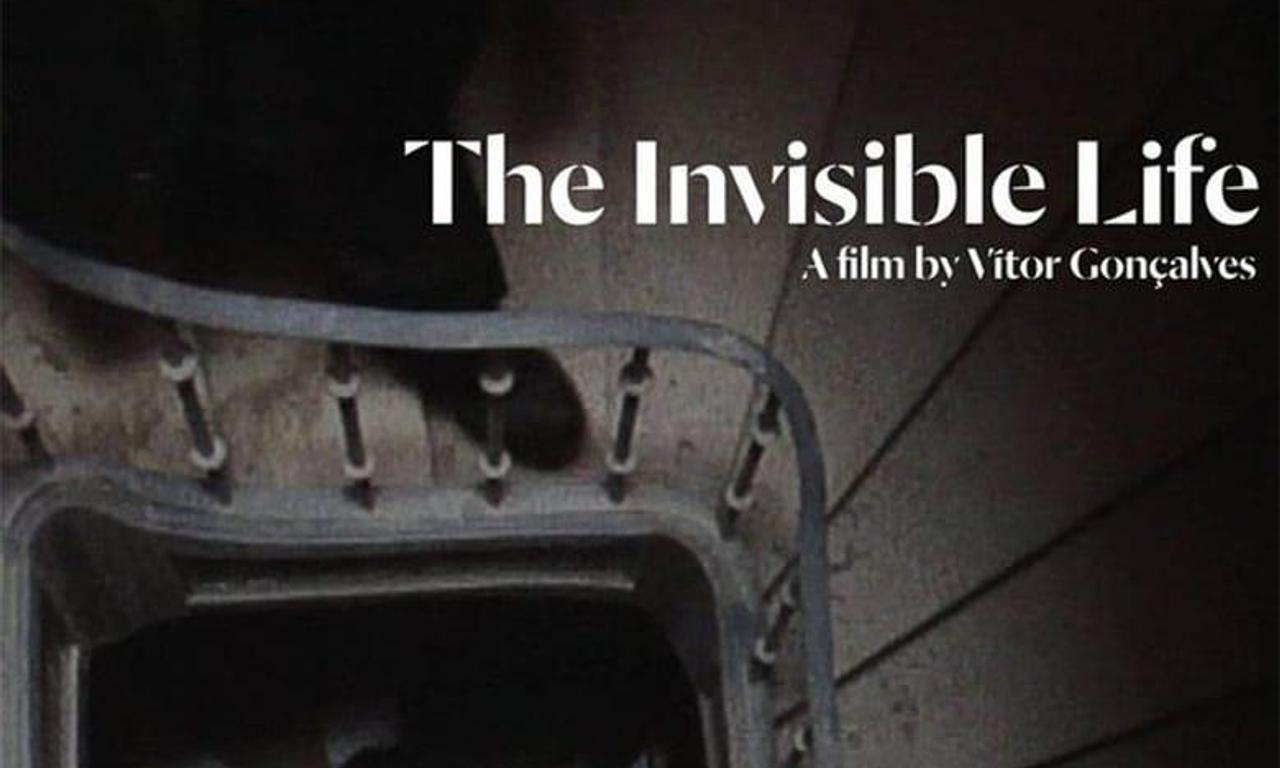 header image for The Invisible Life