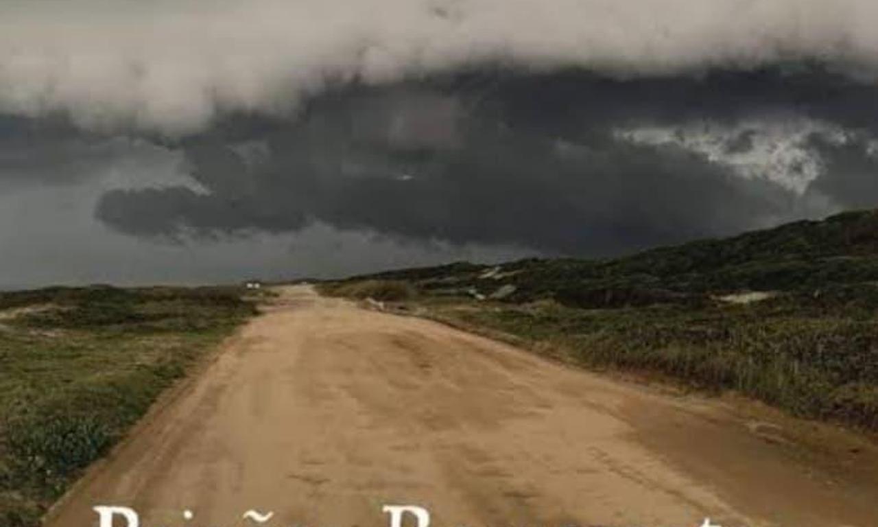 header image for Endless Passions