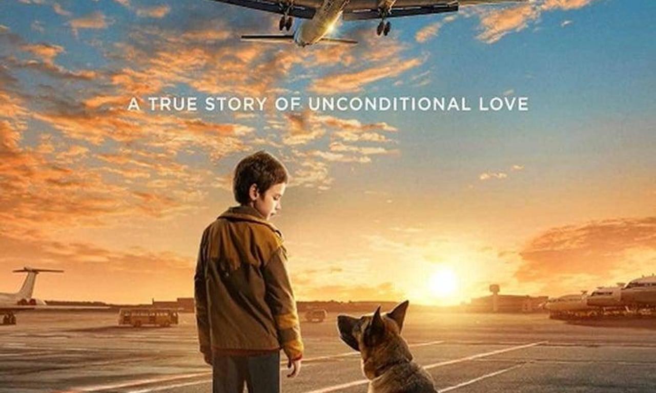 header image for A Dog Named Palma