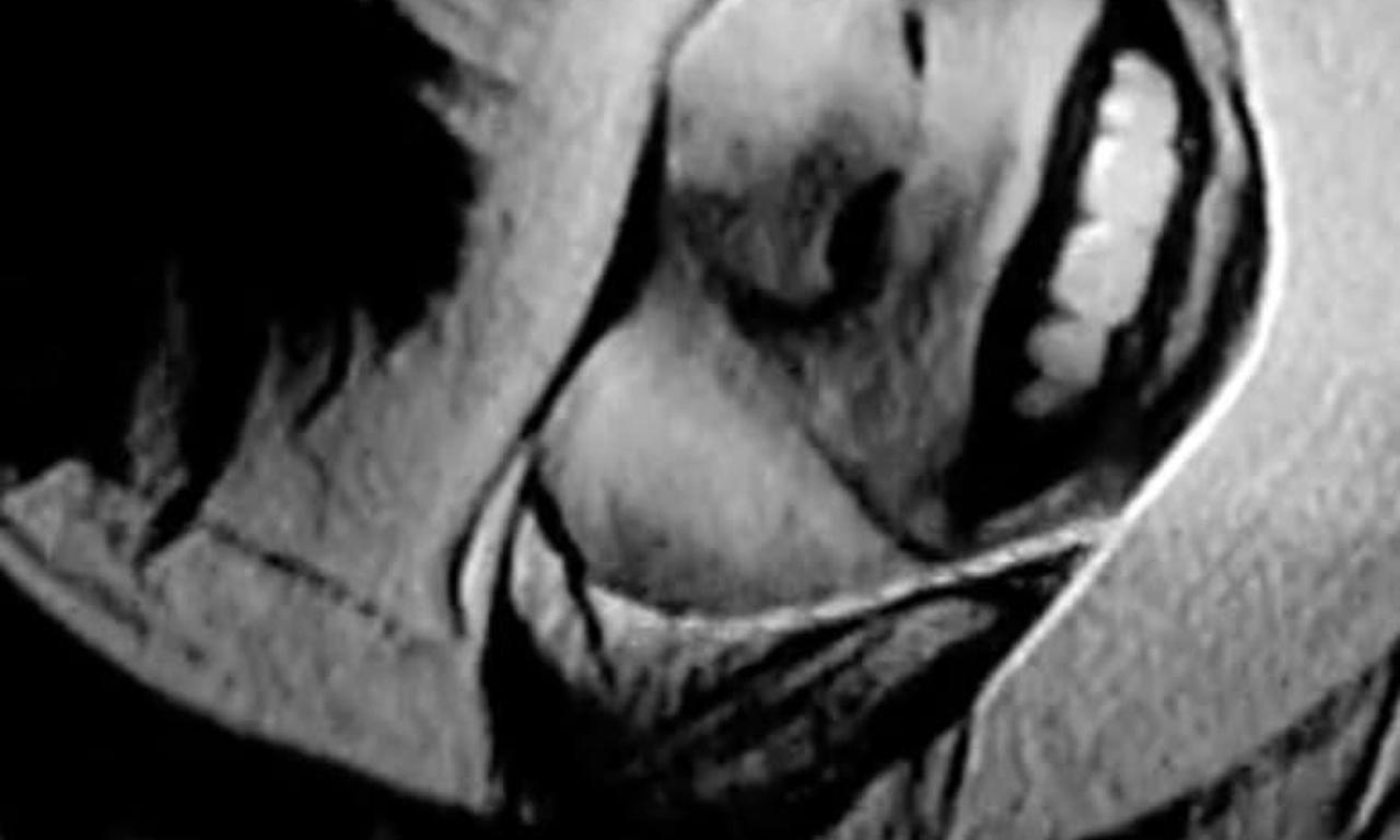 header image for Patient