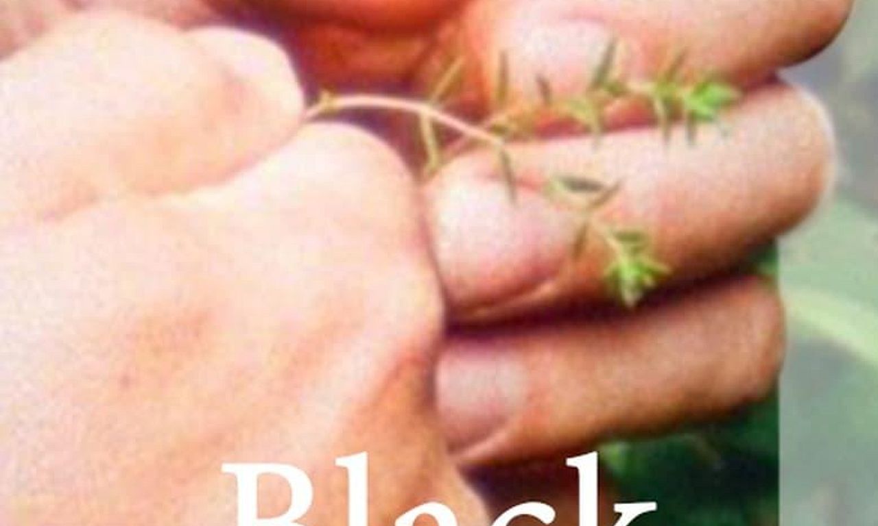 header image for Black Pond