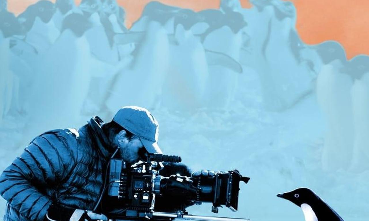 header image for Penguins: Life on the Edge