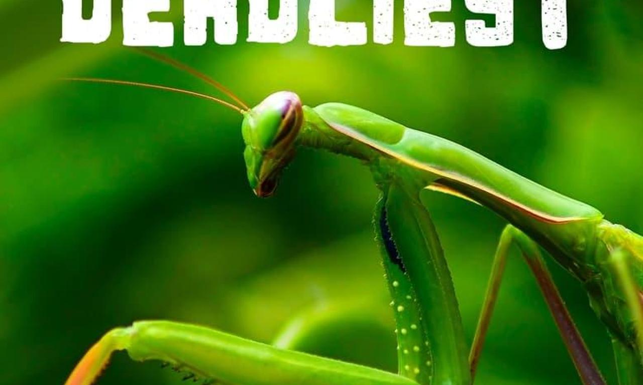 header image for World's Deadliest