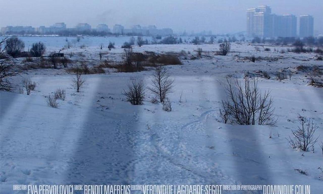 header image for The Delta of Bucharest