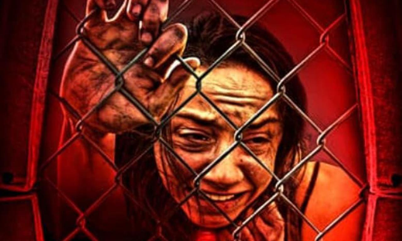 header image for Like Dogs