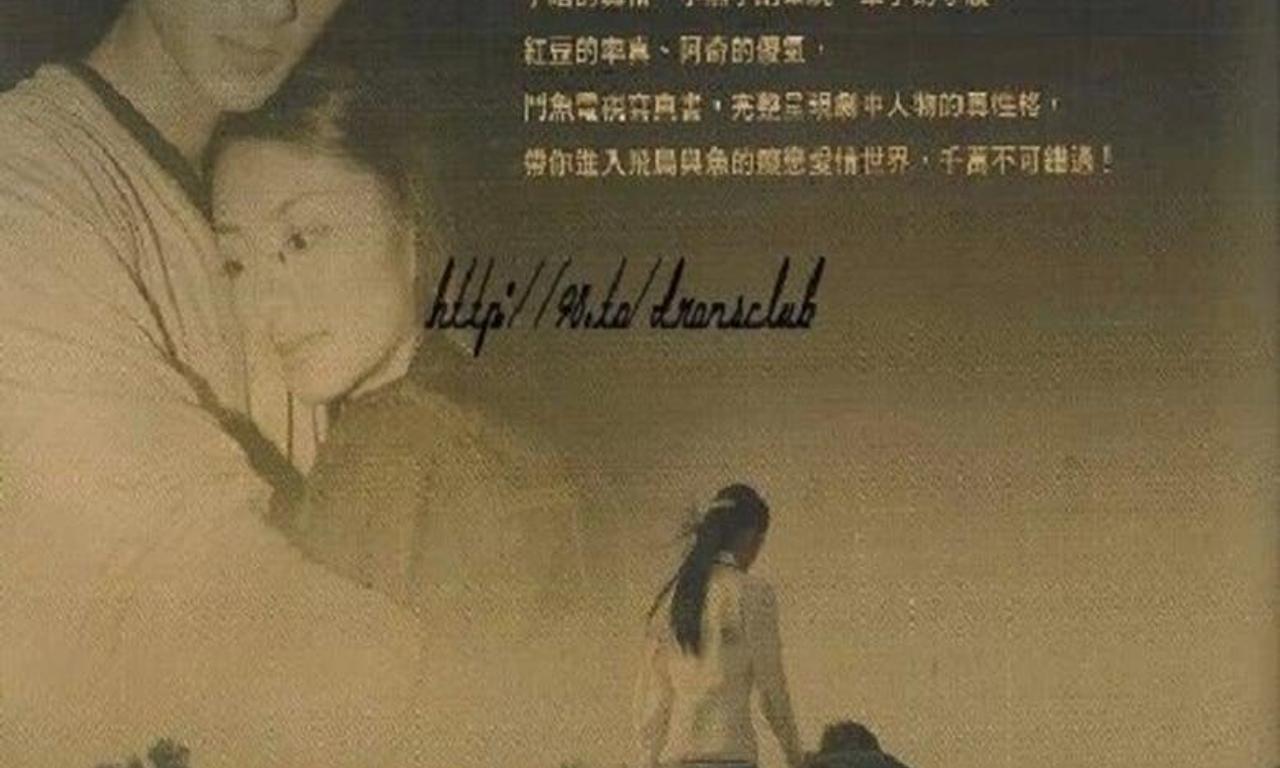 header image for The Outsiders