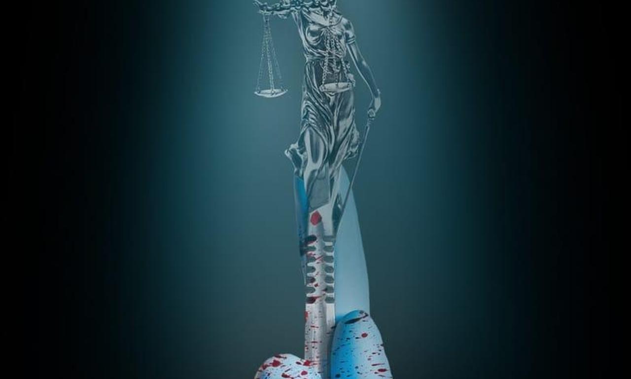 header image for Partners for Justice