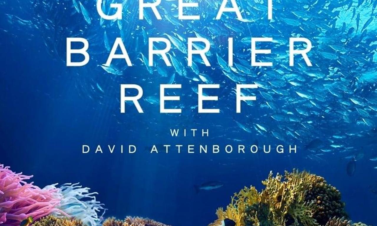 header image for Great Barrier Reef with David Attenborough