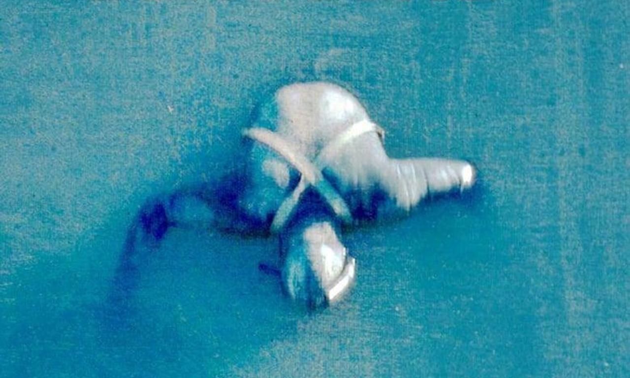 header image for Arvand