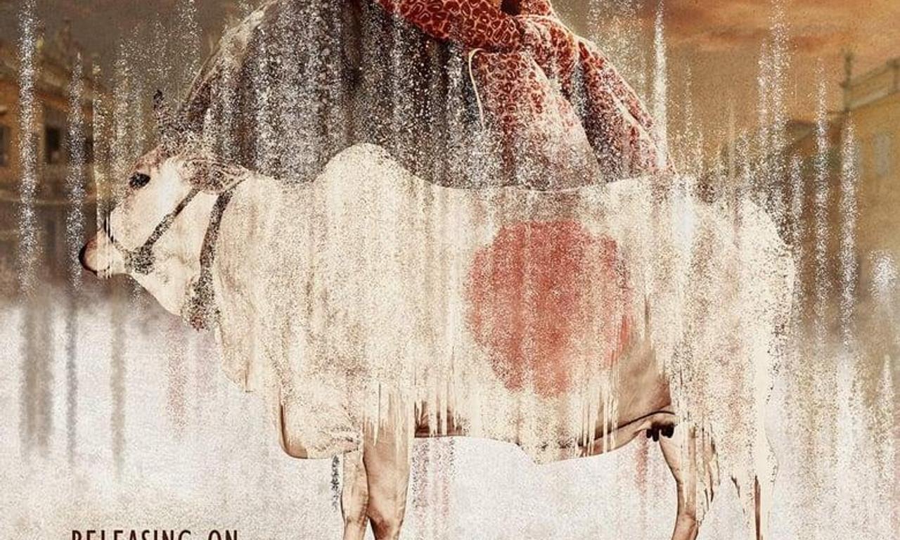 header image for Holy Cow